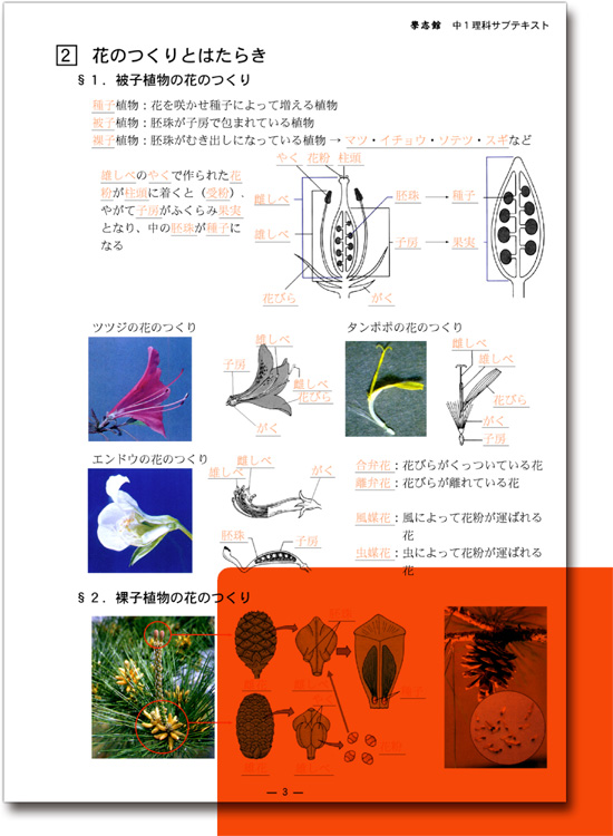 理科の暗記ノート 神奈川県の学習塾 學志館